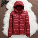 Tea - Transitional jacket