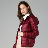 Tea - Transitional jacket