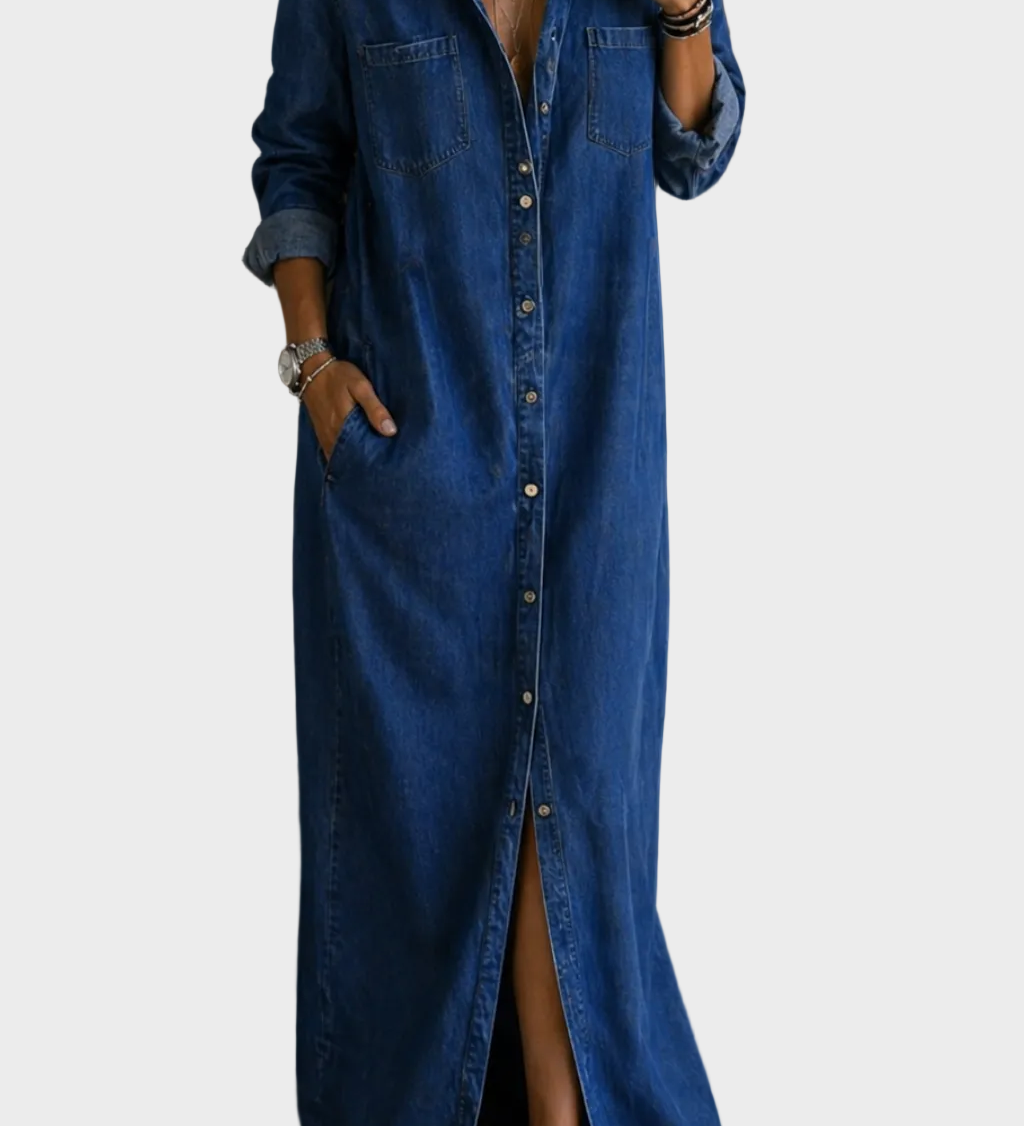 Denim button-down dress | Sofia