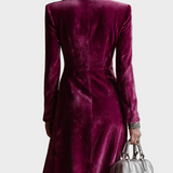 Paulina Velvet Maxi Dress