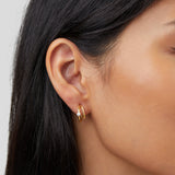 Artie Crystal Gold-Tone Earrings