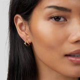 Artie Crystal Gold-Tone Earrings
